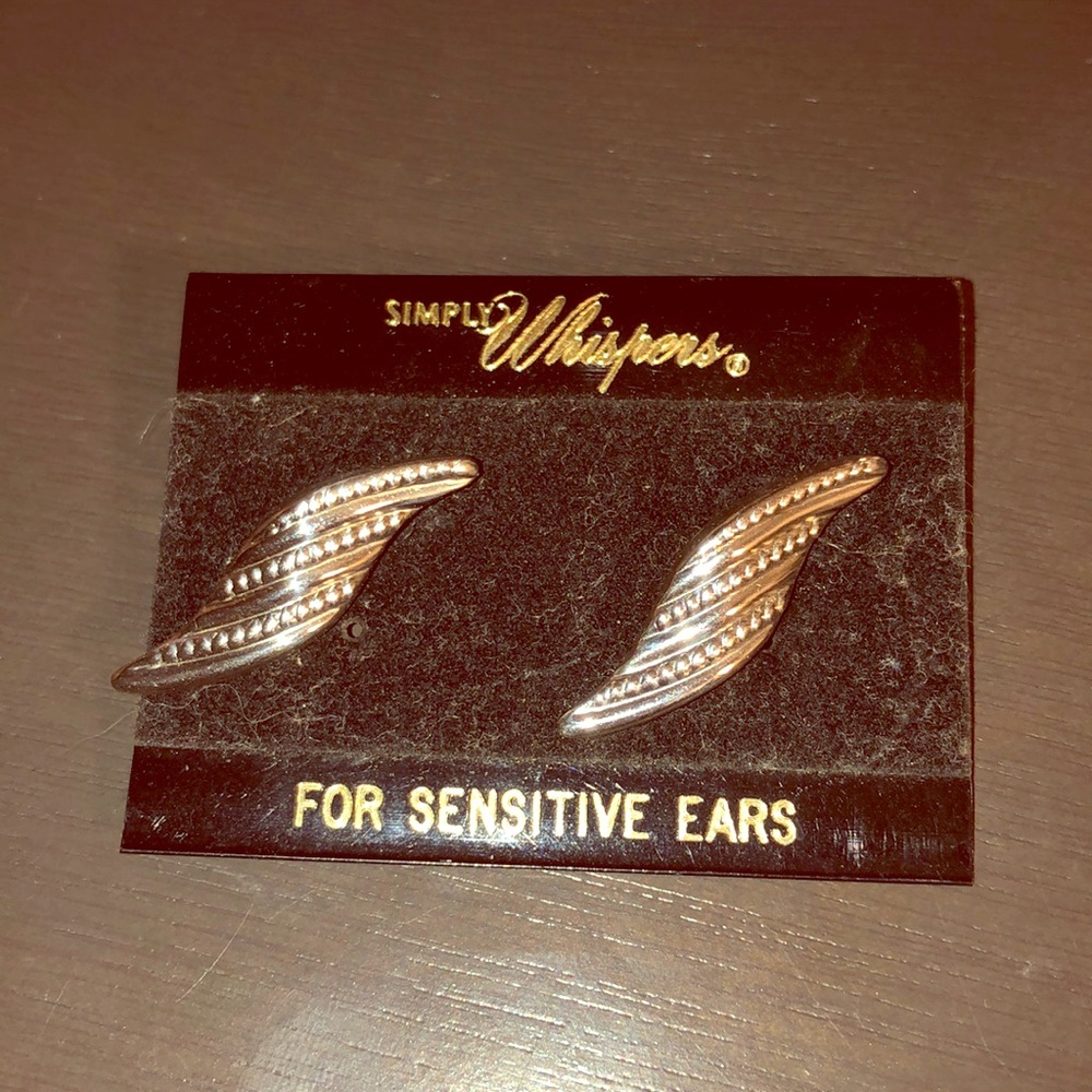 Silver hypoallergenic earrings